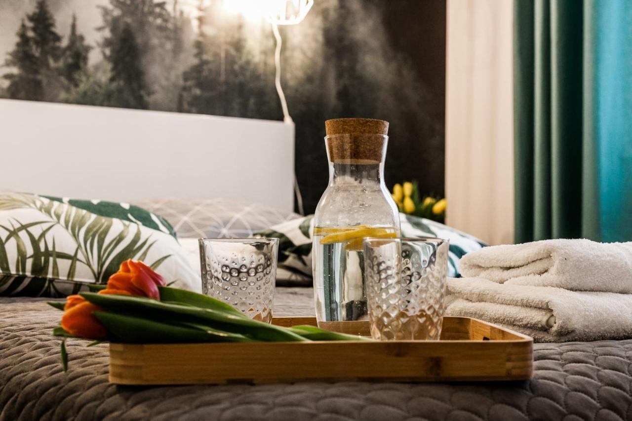 אולז'טין Apartament Rezydencja Vintage No1 מראה חיצוני תמונה
