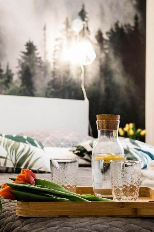 אולז'טין Apartament Rezydencja Vintage No1 מראה חיצוני תמונה